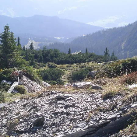 Primavera - 2.5 Zimmerwohnung, 52qm, Max 4 Pers, Schwimmbad/sauna *