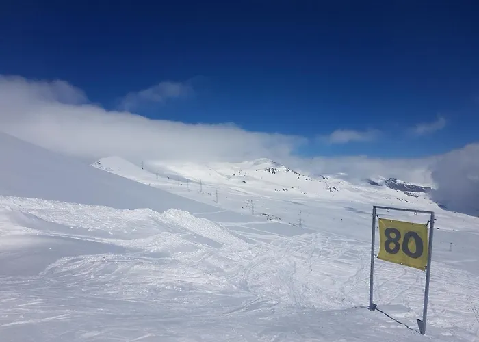 Primavera - 2.5 Zimmerwohnung, 52qm, Max 4 Pers, Schwimmbad/sauna Apartment